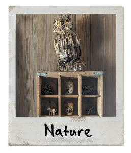 Cabin 1 Nature